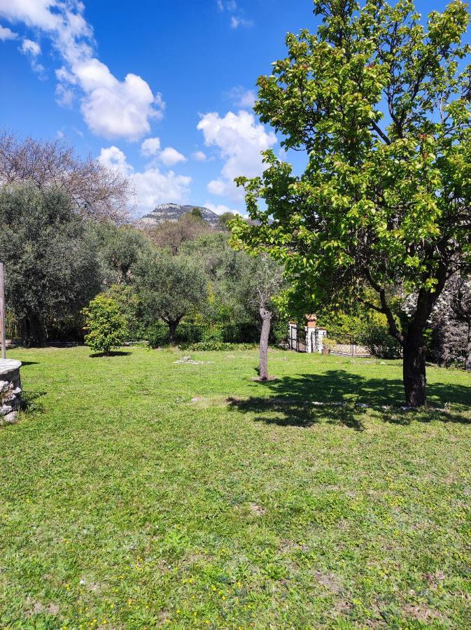 Villa Olivaie St Ange La Gaude Dış mekan fotoğraf