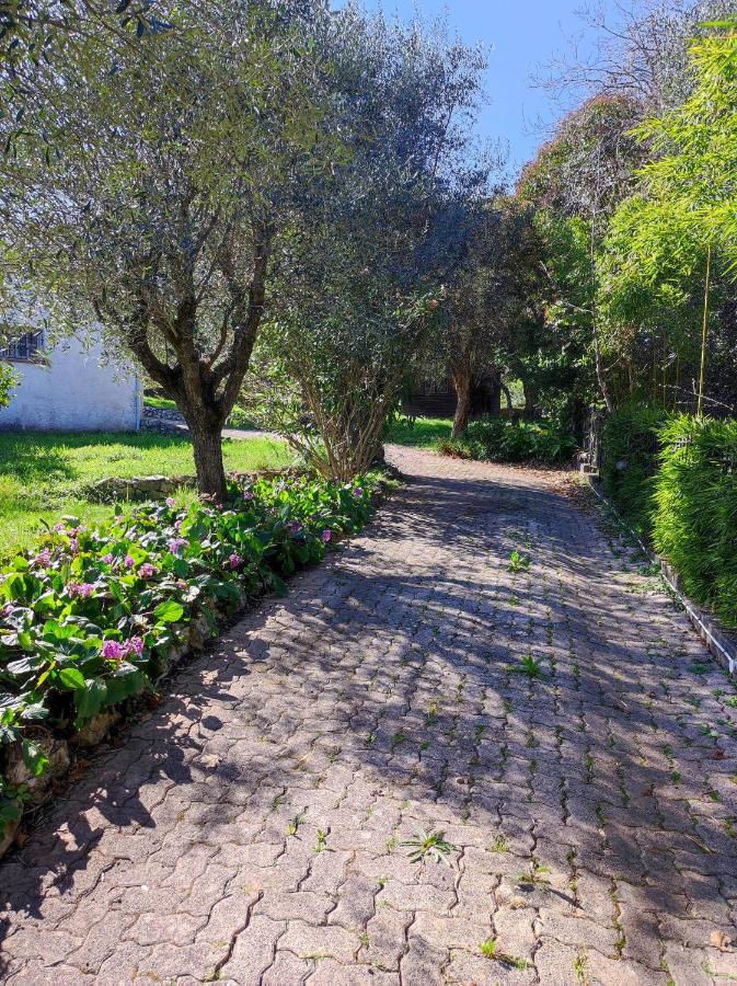 Villa Olivaie St Ange La Gaude Dış mekan fotoğraf